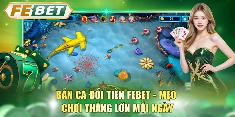 ban-ca-doi-tien-febet