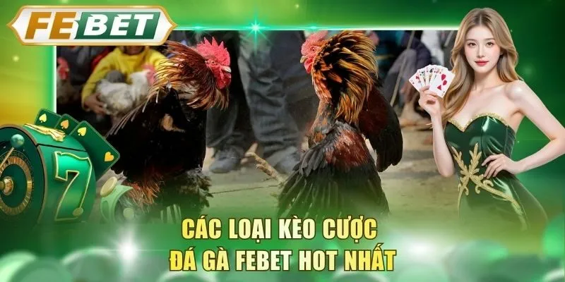 cac-loai-keo-cuoc-da-ga-febet-hot-nhat