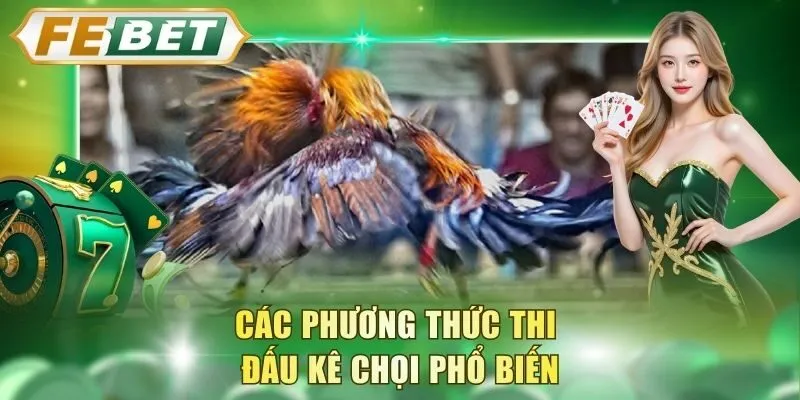 cac-phuong-thuc-thi-dau-ke-choi-pho-bien