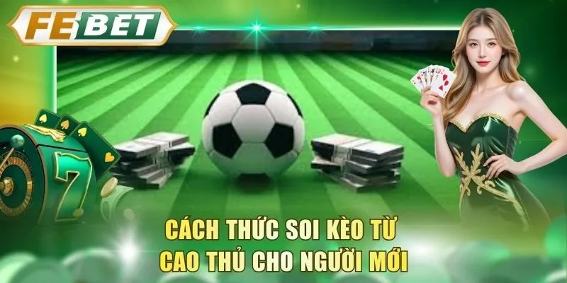 cach-thuc-soi-keo-tu-cao-thu-cho-nguoi-moi