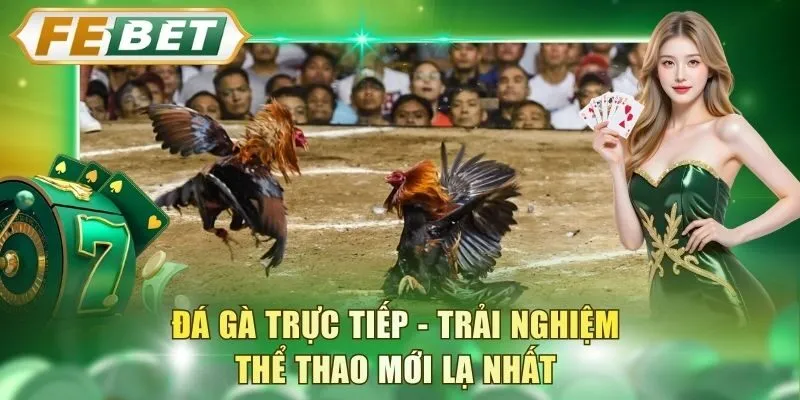 da-ga-truc-tiep