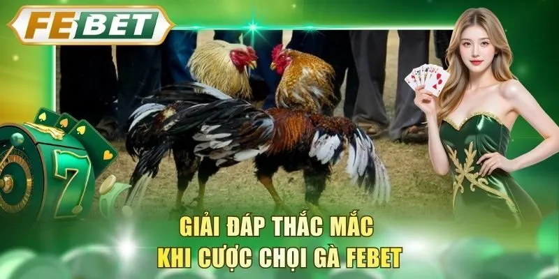 giai-dap-thac-mac-khi-cuoc-choi-ga-febet