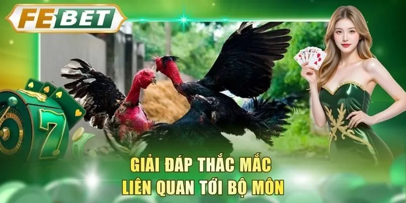 giai-dap-thac-mac-lien-quan-toi-bo-mon