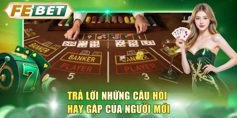 tra-loi-nhung-cau-hoi-hay-gap-cua-nguoi-moi